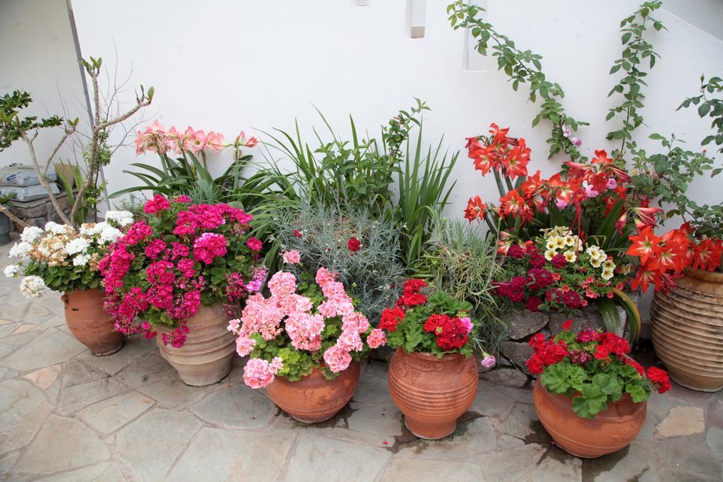Paralia Guest House Agia Roumeli Esterno foto