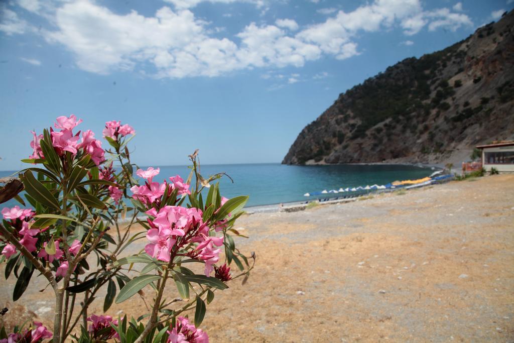 Paralia Guest House Agia Roumeli Esterno foto